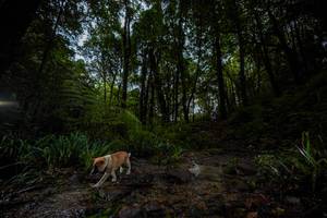 BIB: 
                            <button type="button" onclick="openModal(19237908)" class="btn btn-primary btn-sm float-right btn-popup" data-toggle="modal" data-target=".modal-high-quality">
                        <i class="fas fa-shopping-cart"></i> Add to Cart
                    </button>
                                            <button type="button" onclick="isThisMe(19237908, true)" class="btn btn-success btn-sm float-right btn-popup btn-isme hidden" data-toggle="tooltip" data-placement="bottom" title="นี่คือรูปของคุณใช่ไหม คลิกที่นี่เพื่อเอาเข้าอัลบั้ม">
                        <i class="fas fa-plus"></i> Add to album
                    </button>
                    <button type="button" onclick="isThisMe(19237908, false)" class="btn btn-warning btn-sm float-right btn-popup btn-isnotme hidden">
                        <i class="fas fa-ban"></i> Remove from album
                    </button>